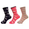 Cheap Point Zero 3 Pairs Of Socks For Kids Size 5-8 Socks